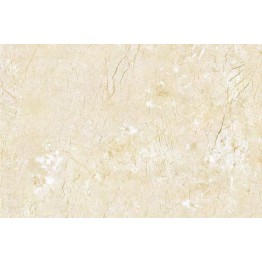 Gạch lát sàn Trường Thịnh MIXSTONE C99813P